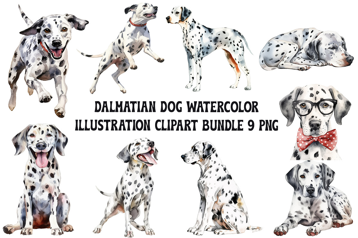 Dalmatians Watercolor Clipart Bundle, an Animal Illustration by Pet Cave (Photo 1 of 3)