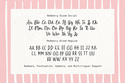 Redberry Bloom - Handwritten Duo, a Handwritten Font by etigletters (Thumbnail 8 of 8)