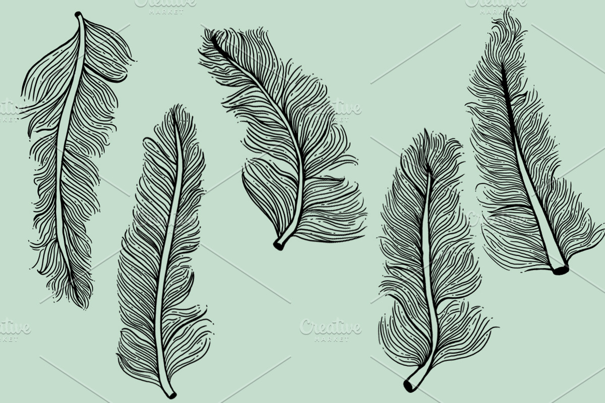 5 Illustrated Feathers, an Illustration by Mara's Media
