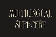 Roxton - Elegant Ligature Serif Font, a Serif Font by Surplus Type Co (Thumbnail 5 of 6)