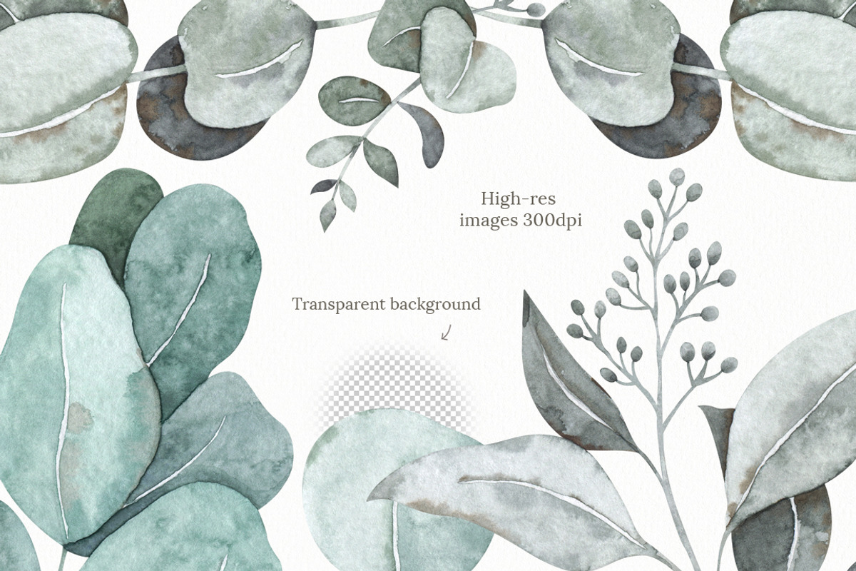 Watercolor eucalyptus clipart, an Illustration by OrangePeafowlArt (Photo 6 of 10)