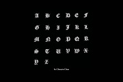 Black & White Thorn, a Blackletter Font by Chun (Thumbnail 4 of 9)