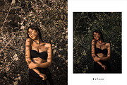 Lightroom Desktop Preset | AMBER, an Action Add-On by HALFTOUNE (Thumbnail 2 of 5)
