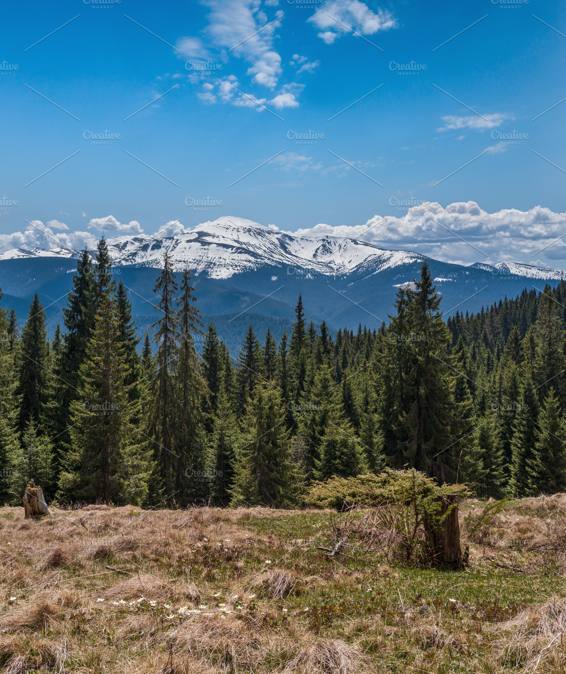 Spring Carpathian mountains view, Ukraine., a Nature Photo by YuriyB