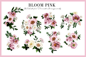 Bloom Pink Rose