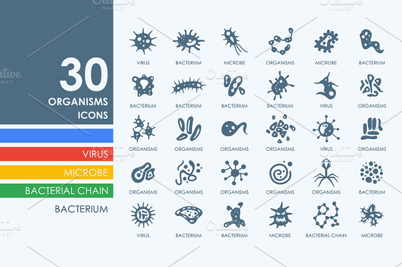 30 Organisms Icons