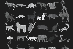 African Animals Outlines Silhouettes