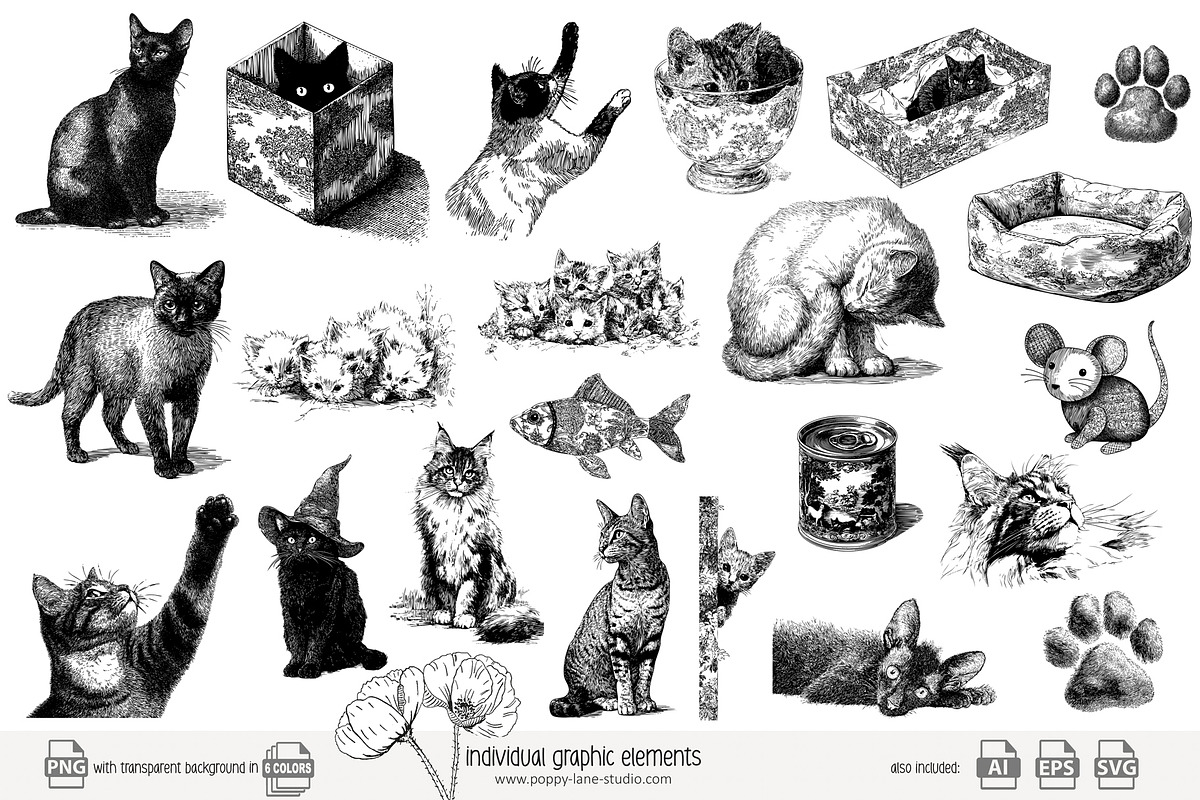 95 line art Cats clip art, an Animal Illustration by Poppy Lane Studio (Photo 9 of 12)