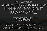 Beige, a Sans Serif Font by FreshTypeINK (Thumbnail 4 of 8)