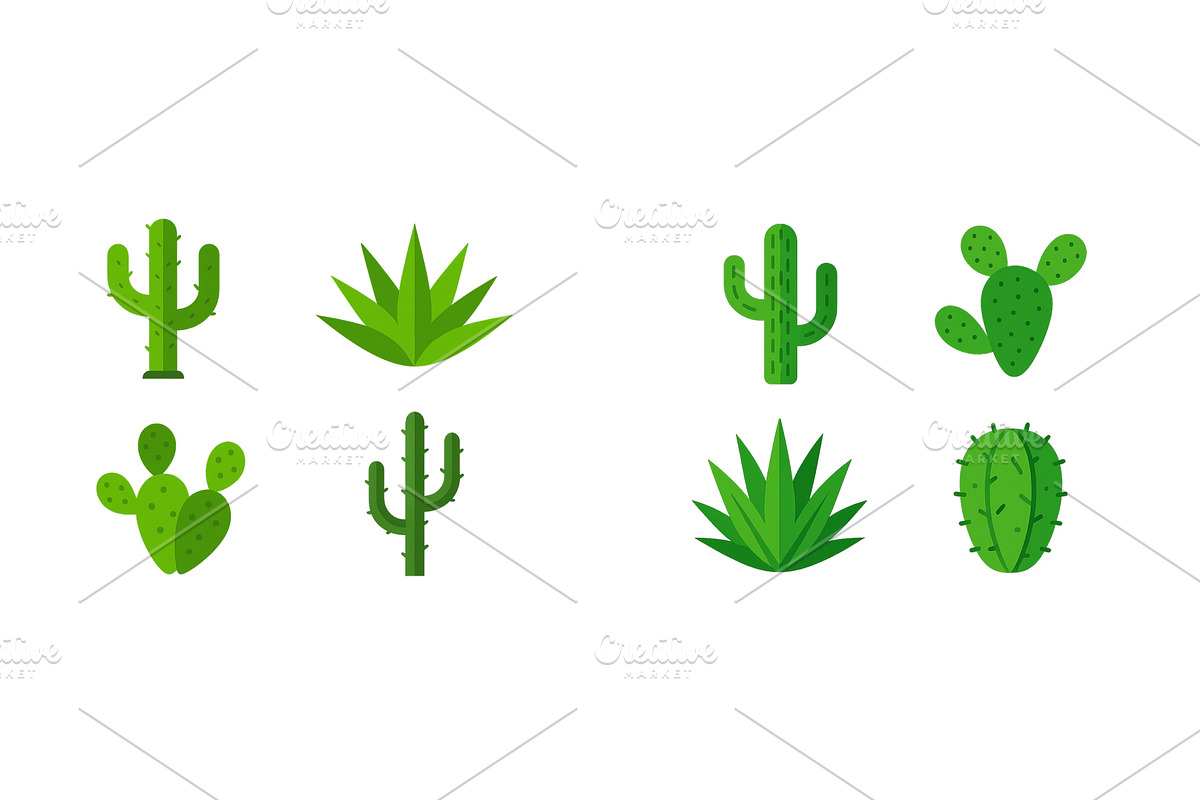 Various types of cacti and, an Illustration by ZinetroN