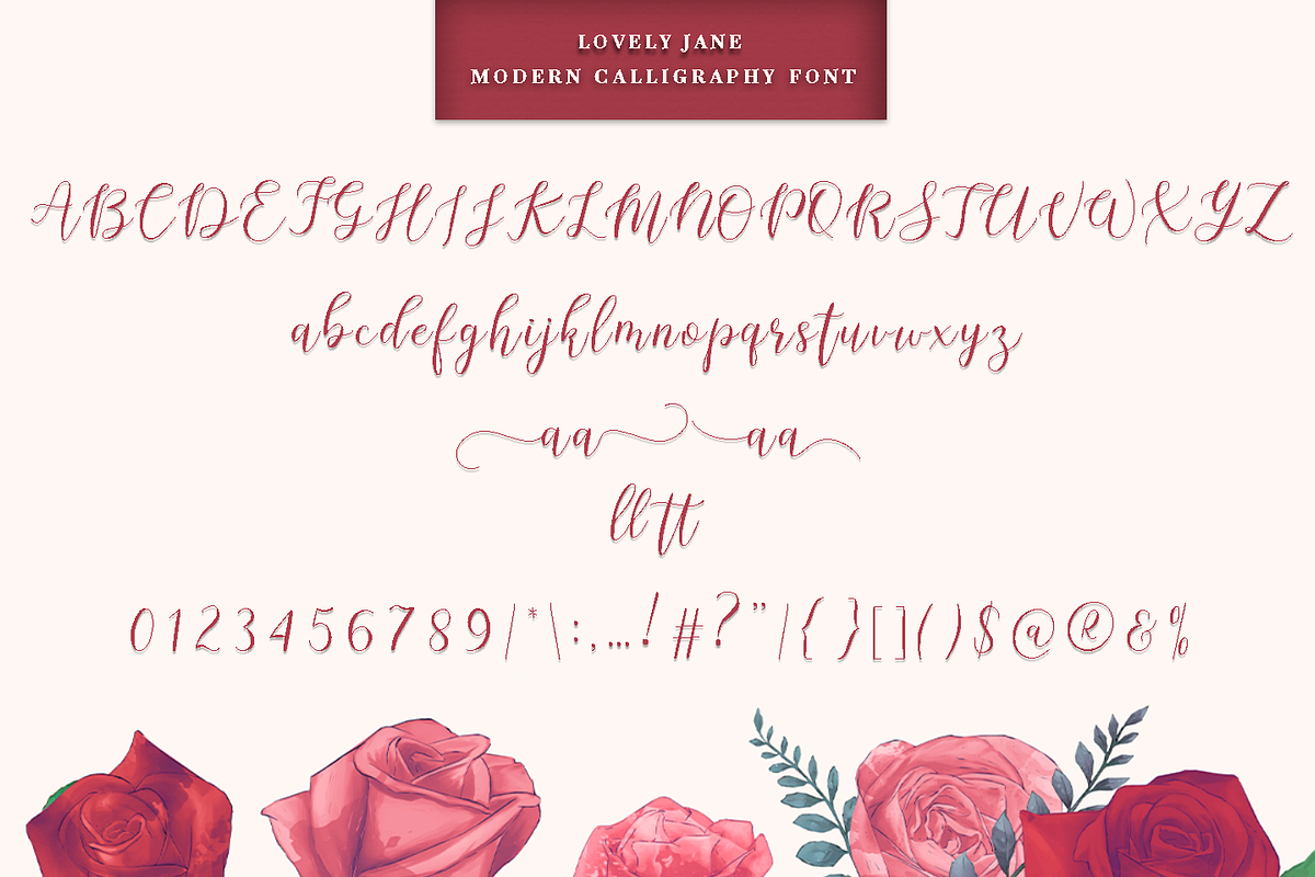 lovely Jane||Modern calligraphy font preview 5