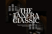 Rosela Modern Serif Font Typeface, a Serif Font by Graphicxell (Thumbnail 5 of 8)