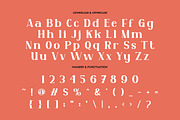 Yenisei - Modern Serif Font, a Sans Serif Font by PutraCetol Studio (Thumbnail 8 of 11)