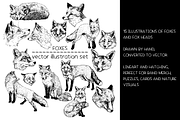 Foxes - vector illustration set, an Animal Illustration by Renée from Studio neetje (Thumbnail 2 of 4)