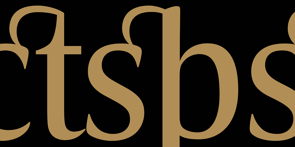 Candide Condensed, a Serif Font by Hoftype (Photo 6 of 10)