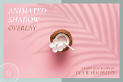 Animated Palm Leaf Shadow, a Product Mockup by Oui Create Studio (Thumbnail 1 of 4)
