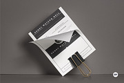 Clean Resume/Cv, a Resume Template by AyshaCanvas (Thumbnail 4 of 7)