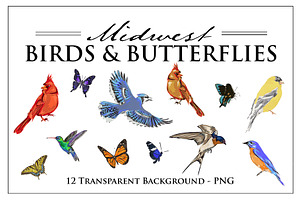 Birds And Butterflies Clipart - PNG