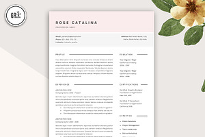 Professional Resume Template - Word