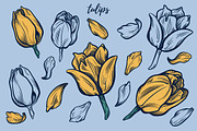 Fancy Florals, an Illustration by melissadn (Thumbnail 5 of 7)