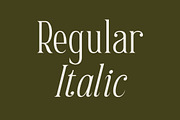 Scarlett Quistan Modern Serif Font, a Serif Font by Letterena Studios (Thumbnail 5 of 15)