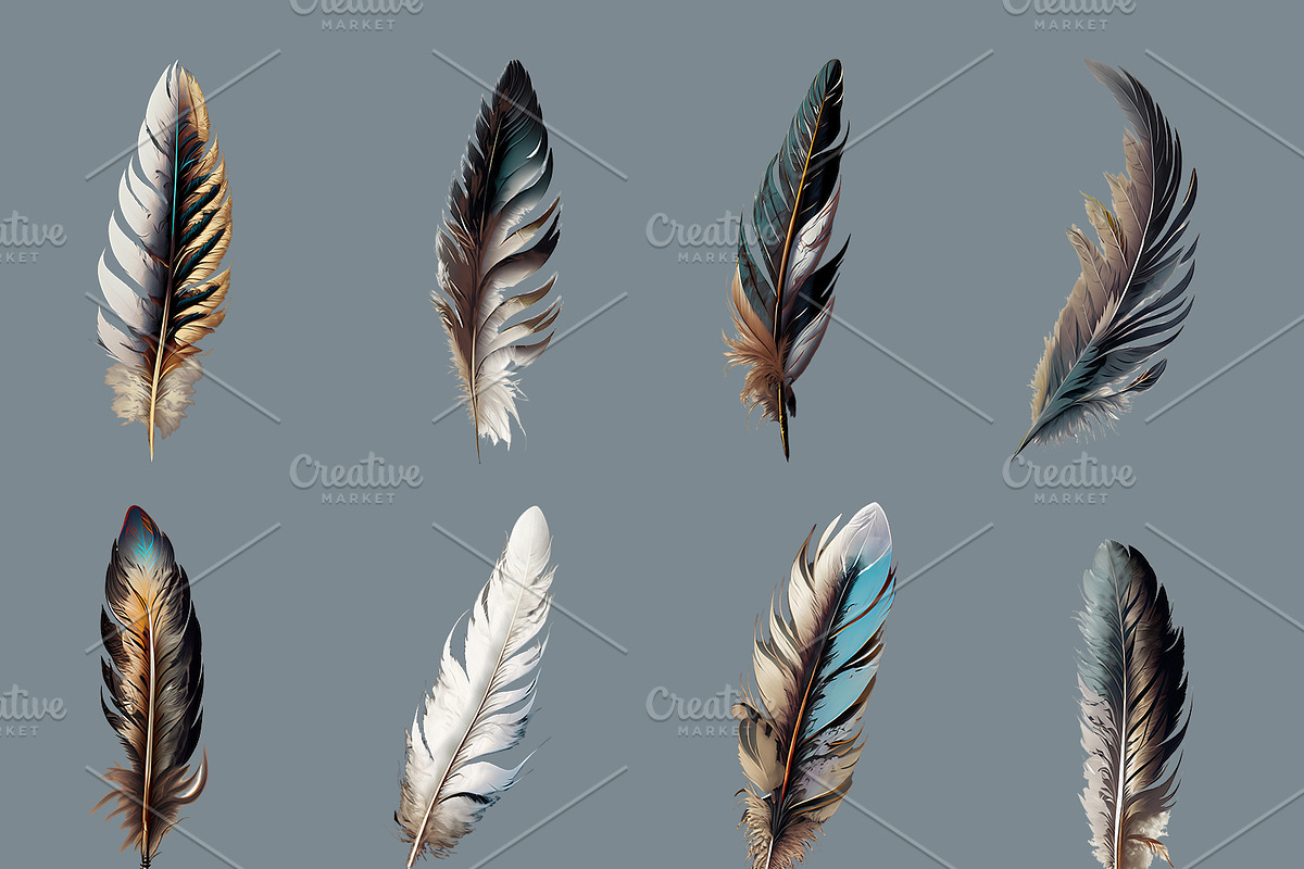 Feathers, an Illustration by As Studio (Photo 3 of 3)