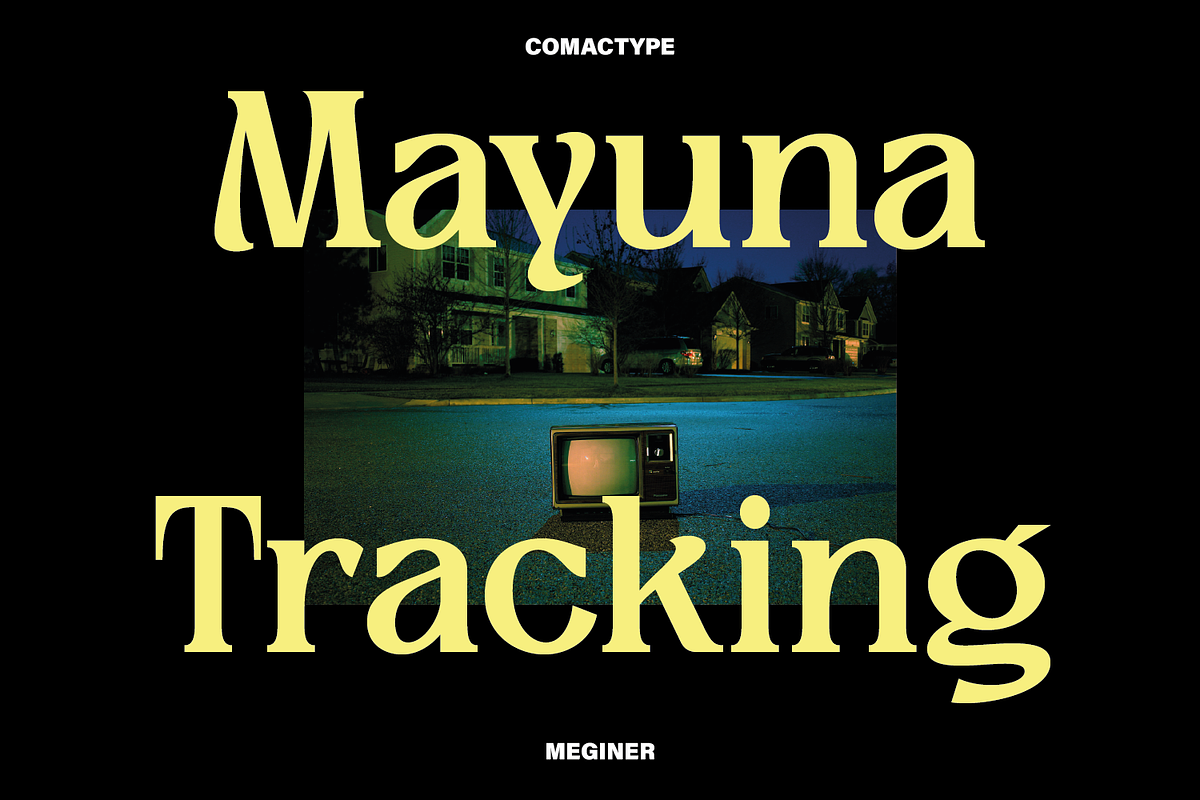 Meginer Nineties - Modern Serif, a Serif Font by Comactype Foundry (Photo 9 of 22)