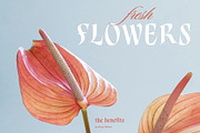 Aspenleigh Decorative Serif Font, a Serif Font by Heinzel Std (Thumbnail 7 of 15)