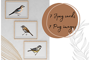 Watercolor Birds Clip Arts and Cards, an Education Illustration by Tati Bordiu (Thumbnail 5 of 5)
