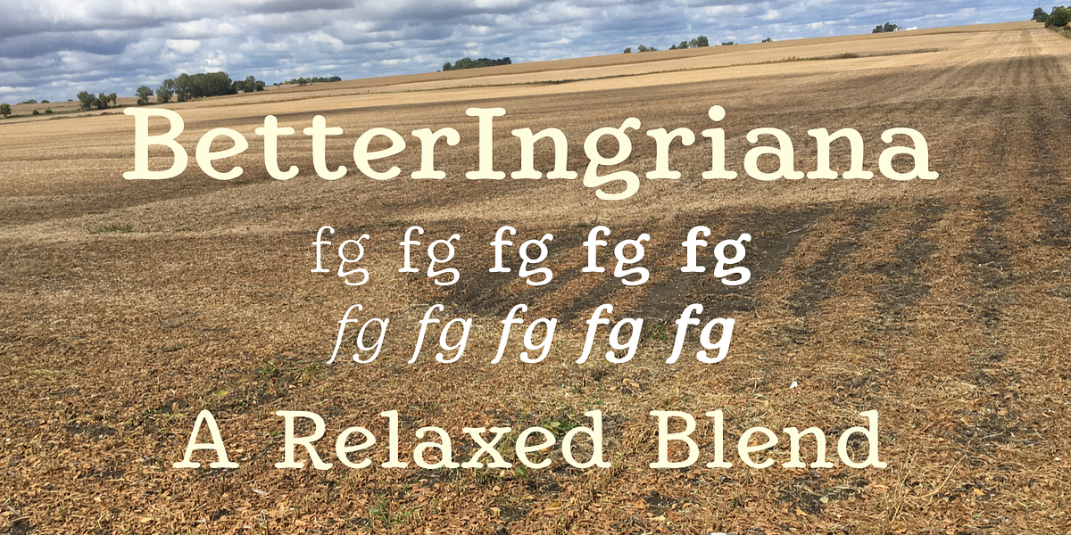 BetterIngriana, a Serif Font by Ingrimayne Type (Photo 1 of 11)
