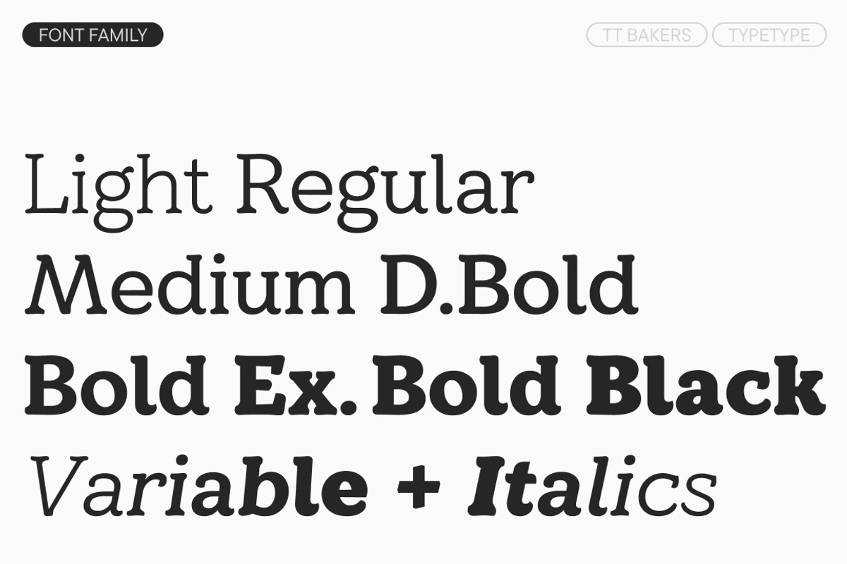 TT Bakers, a Serif Font by TypeType (Photo 4 of 15)