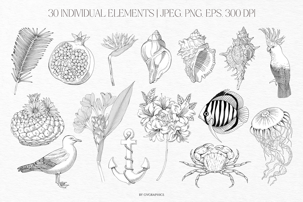 Summer Island Illustrations, an Animal Illustration by GVGraphics (Photo 3 of 9)
