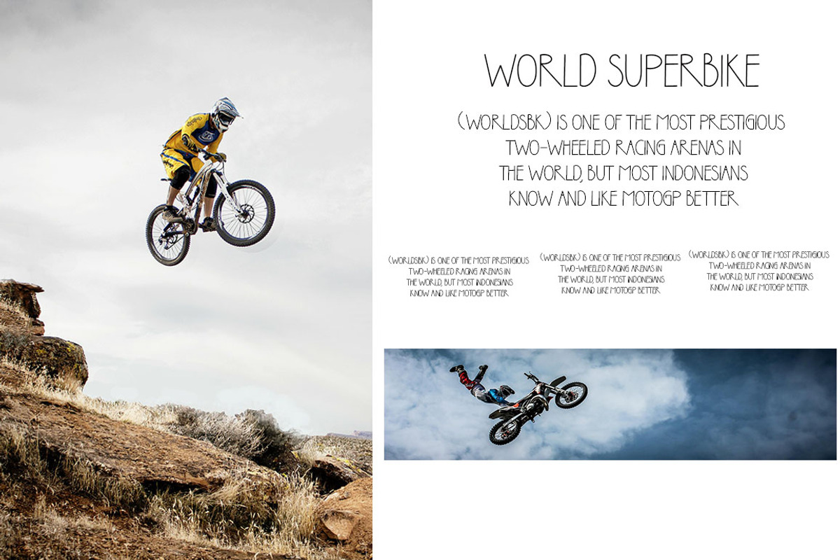 SHUNSINE, a Sans Serif Font by Roni Studio (Photo 3 of 5)