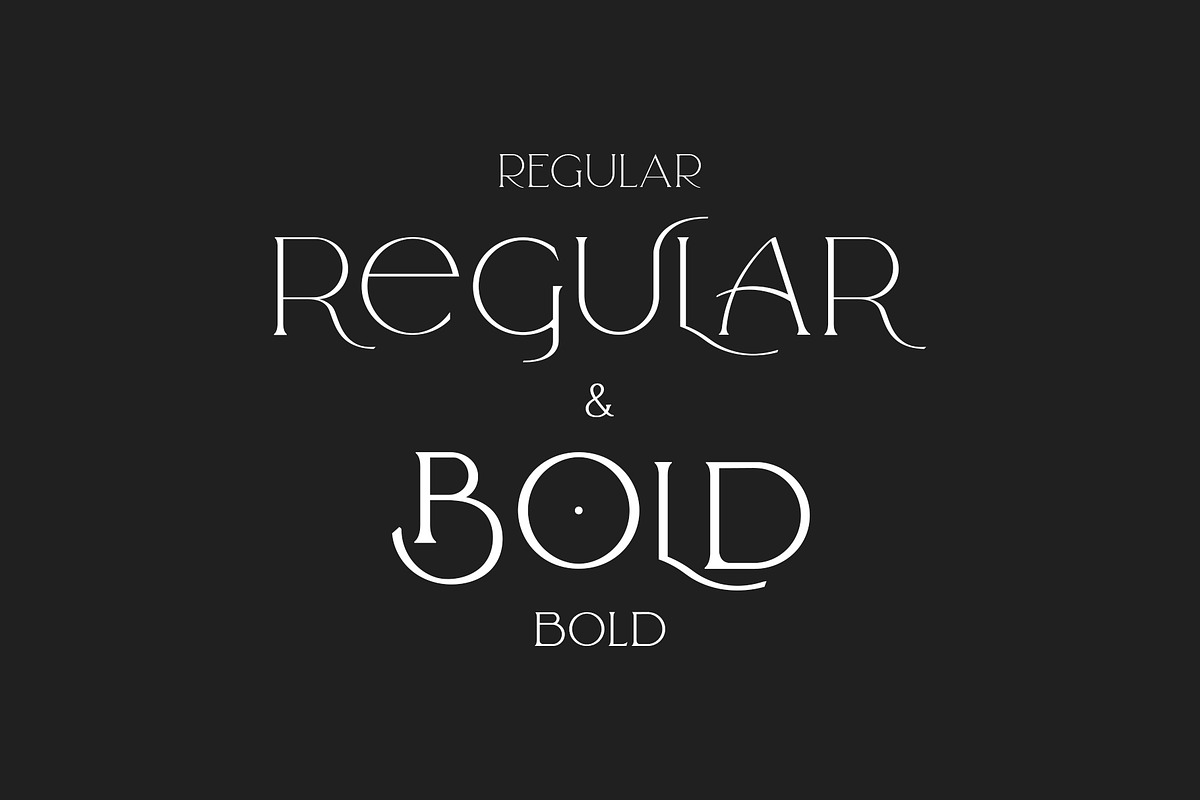 Arrogant Font, a Serif Font by Graphicdome (Photo 4 of 24)
