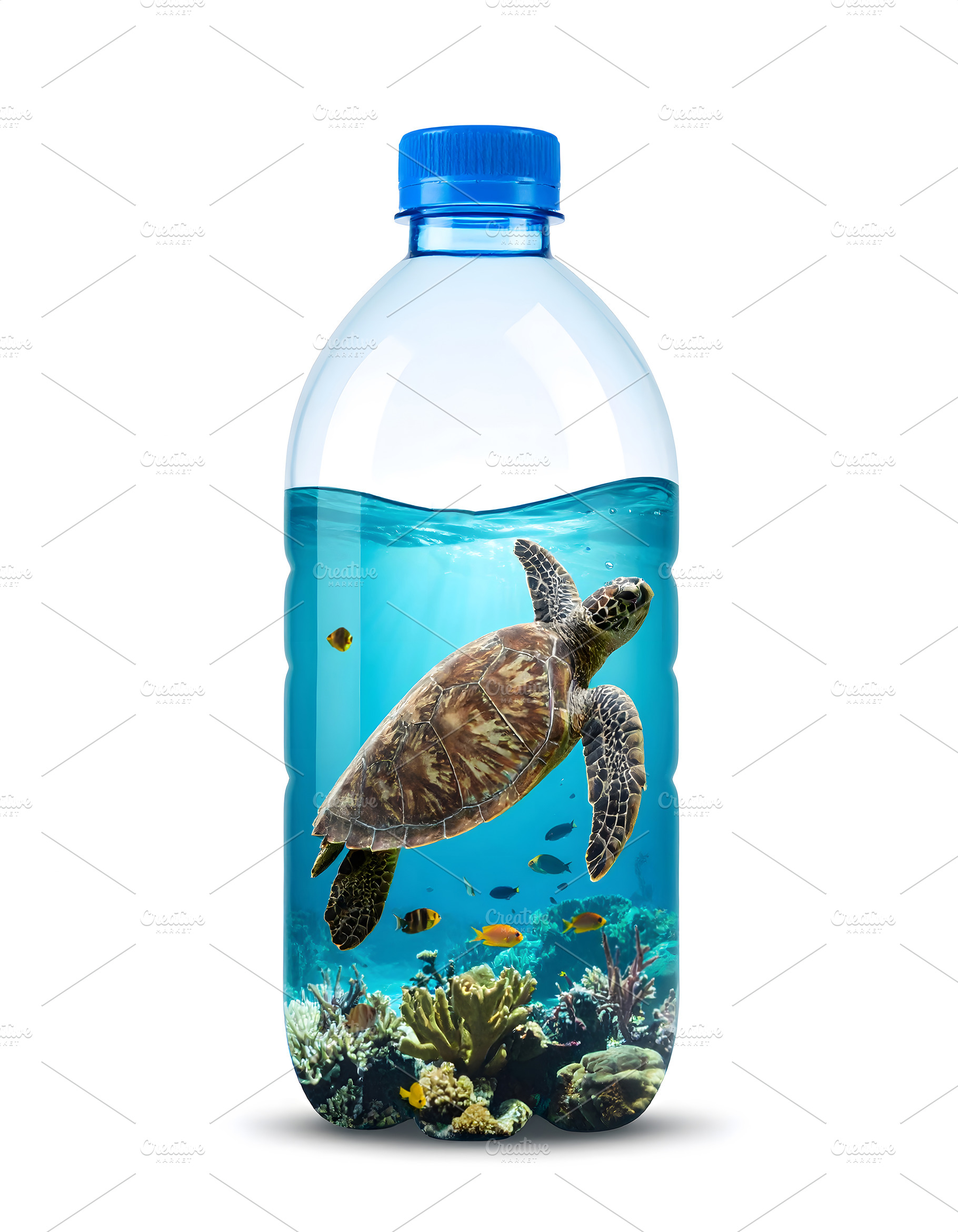 Turtle swimming inside plastic water bottle in ocean, an Animal Photo by GoodGoods