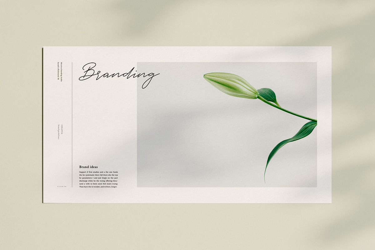 CHLOVIA-Powerpoint Brand Guidelines, a Presentation Template by Elokka Std. (Photo 3 of 12)
