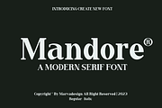 Mandore - A Modern Serif, a Serif Font by Marvadesign (Thumbnail 1 of 7)
