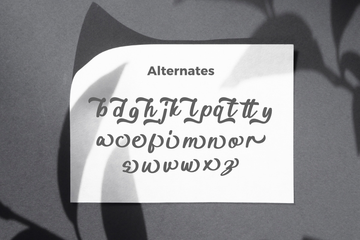 Arsiliya Stylish Script Font, a Script Font by Bayuktx (Photo 8 of 10)