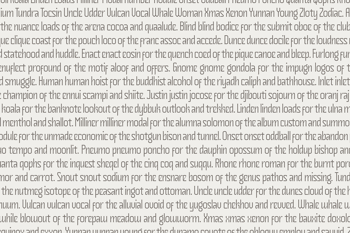 Gulling, a Serif Font by Bagerich Type Foundry (Photo 9 of 11)