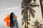 Managiri Aesthetic Brush Font, a Script Font by Hishand Studio (Thumbnail 2 of 8)
