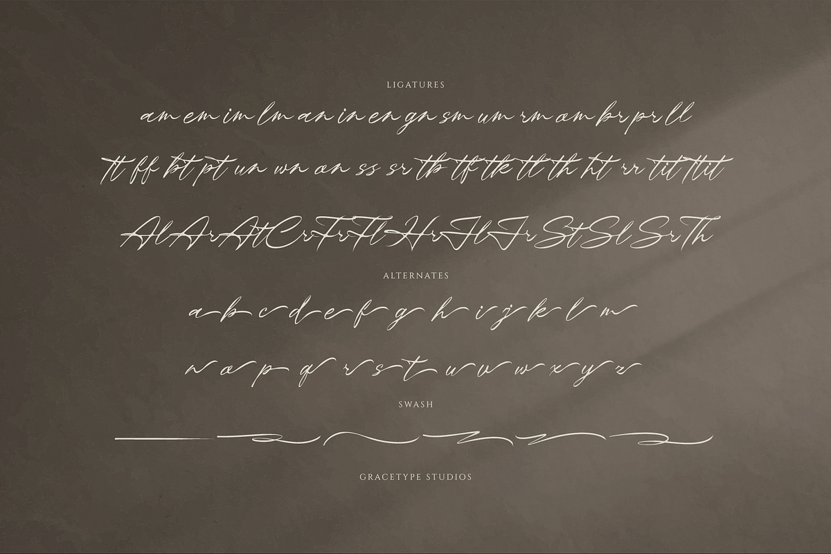 Theyladia | Handwritten Script, a Script Font by gracetype_studio (Photo 12 of 12)