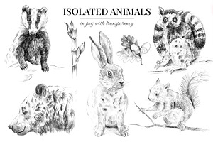 Wild Animals. Sketch Edition. 22 PNG