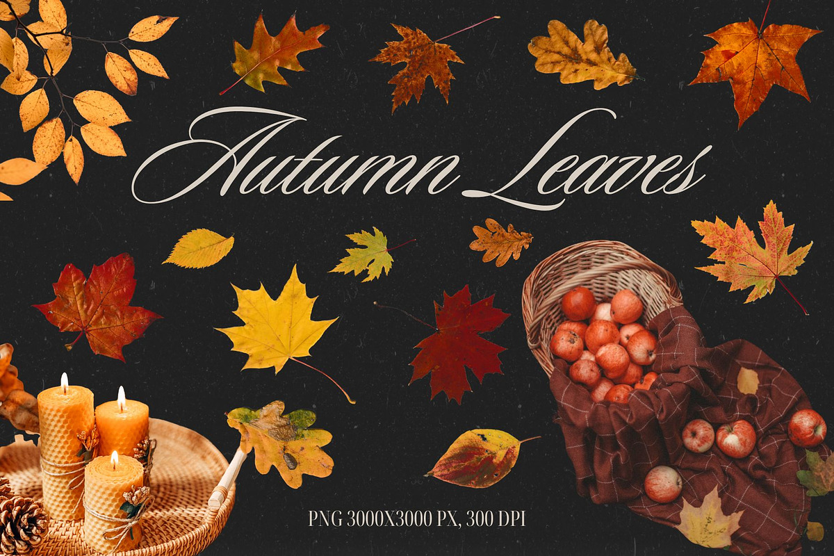 Autumn Leaves PNG, an Object Graphic by Kate Creative Studio (Photo 1 of 3)