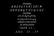 Serenive Script Font, a Script Font by PutraCetol Studio (Thumbnail 5 of 5)