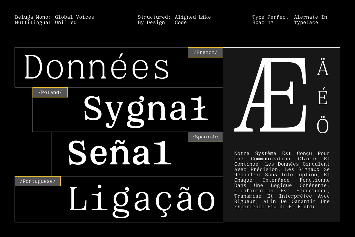 GC Beluga Mono - Elegant Modern Mono, a Serif Font by Glyphonic (Photo 6 of 15)