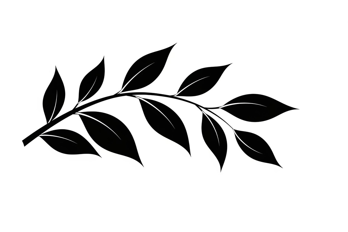 Botanical Leaf Silhouette Bundle, an Illustration by yasushie (Photo 33 of 51)