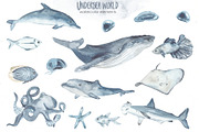 Undersea world Watercolor Part II, an Animal Illustration by Marina Ermakova (Thumbnail 3 of 13)