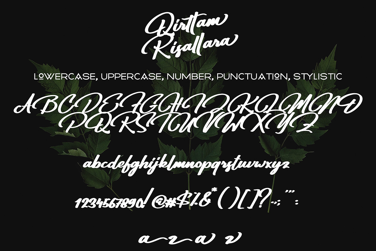 Qirttam Risllara, a Script Font by pineungtype (Photo 9 of 9)