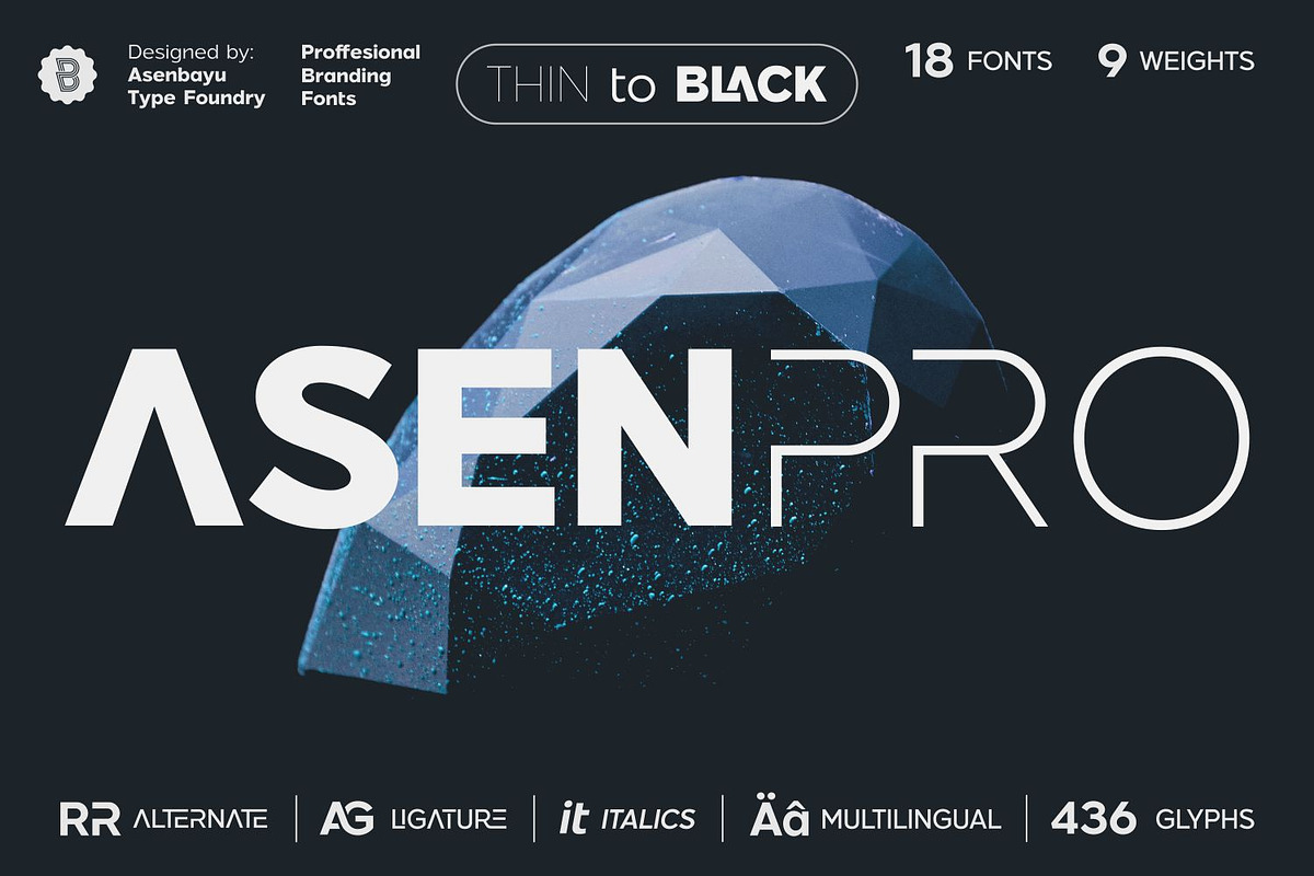 Asen Pro Fonts Family, a Sans Serif Font by Asenbayu (Photo 1 of 15)