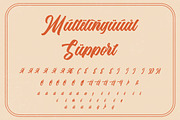 The Anthelope - Retro Script Font, a Script Font by StringLabs (Thumbnail 13 of 14)